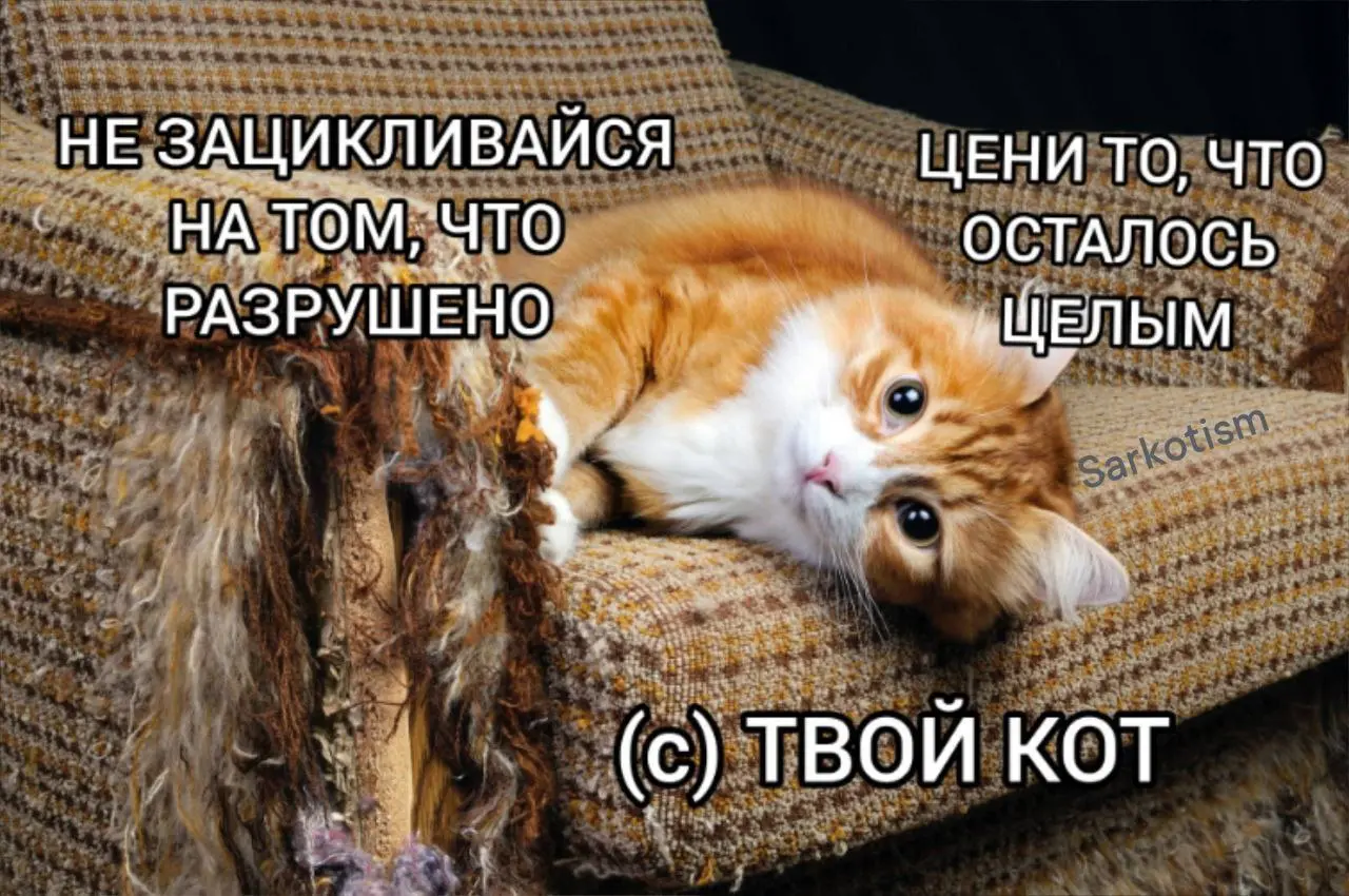 Урок от котика - психолога 😂
#Юмор@poldner #Коты@poldner | Сетка — социальная сеть от hh.ru