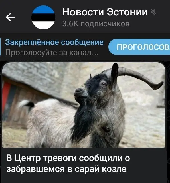 Эстония на сегодняшний день самая стрессоустойчивая страна в мире.
Волнуют только козлы и сараи))))) | Сетка — социальная сеть от hh.ru