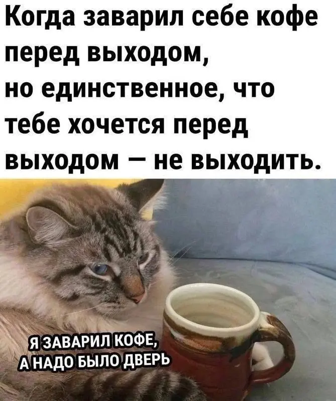 Порция мемов выходного дня. 🙌 Узнаете себя?
Делитесь с коллегами и друзьями, хороших выходных! | Сетка — социальная сеть от hh.ru