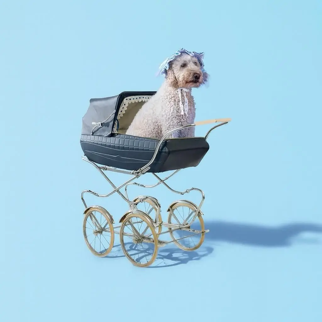 Собачий декрет
Fast Company пишет, что отпуск по уходу за питомцем становится новой корпоративной нормой. Животные официально заменяют миллениалам и зумерам детей — и боссам приходится адаптироваться | Сетка — социальная сеть от hh.ru