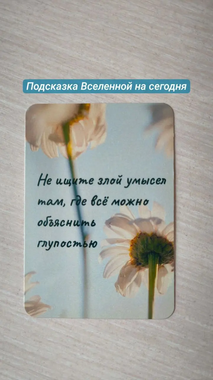 #мышление #мотивация #образжизни #саморазвитие | Сетка — социальная сеть от hh.ru