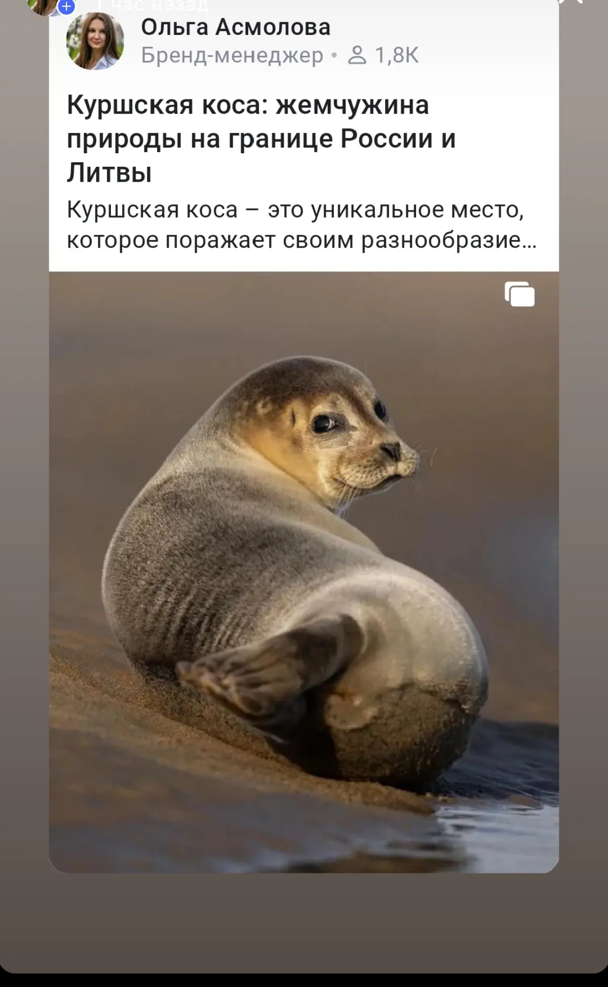 Калининград и область. Мои истории 🫶 | Сетка — социальная сеть от hh.ru