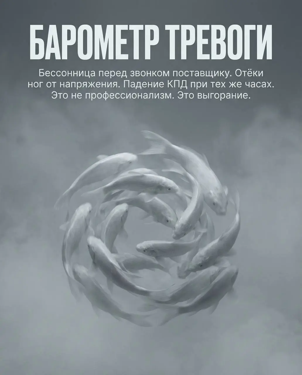 Тебе — уставшему логисту, который всё ещё верит, что можно сделать по-другому
Ты хочешь выстроить цепочку, а не просто «закрыть заявку» | Сетка — социальная сеть от hh.ru