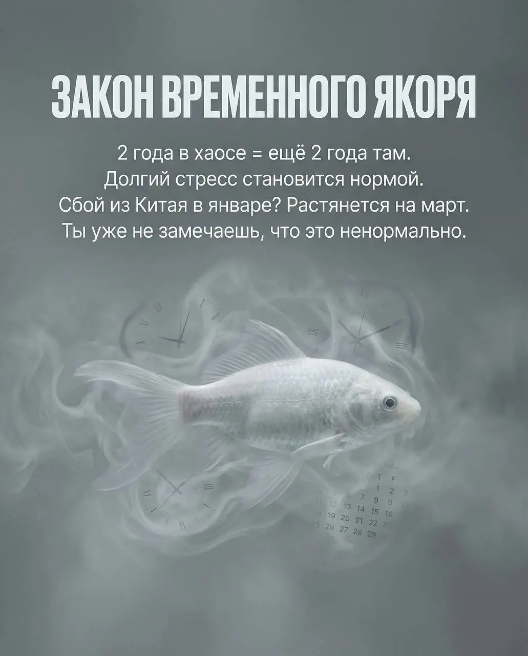 Тебе — уставшему логисту, который всё ещё верит, что можно сделать по-другому
Ты хочешь выстроить цепочку, а не просто «закрыть заявку» | Сетка — социальная сеть от hh.ru