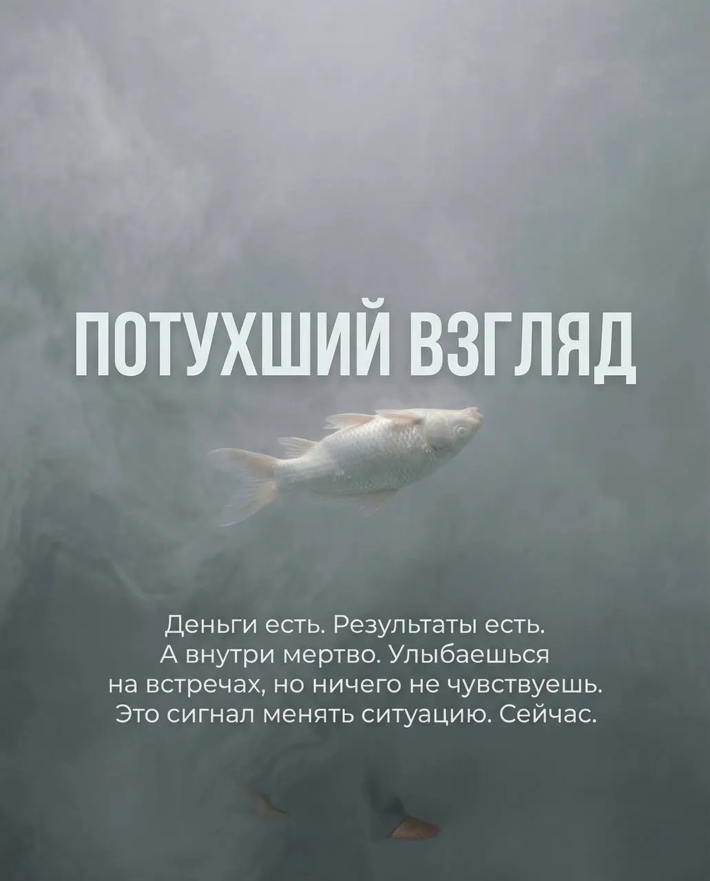 Тебе — уставшему логисту, который всё ещё верит, что можно сделать по-другому
Ты хочешь выстроить цепочку, а не просто «закрыть заявку» | Сетка — социальная сеть от hh.ru