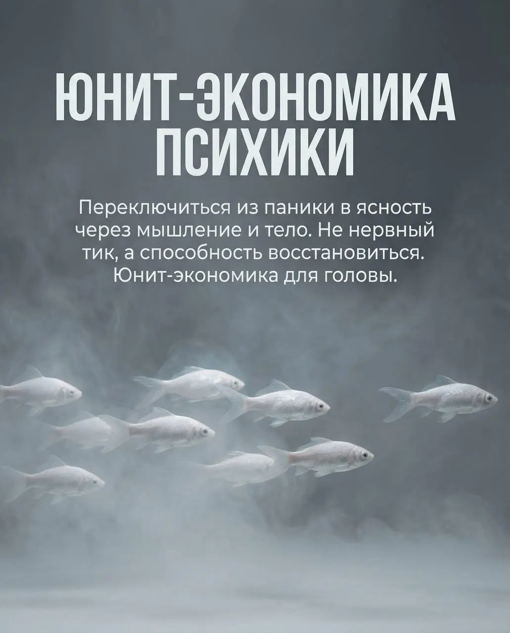 Тебе — уставшему логисту, который всё ещё верит, что можно сделать по-другому
Ты хочешь выстроить цепочку, а не просто «закрыть заявку» | Сетка — социальная сеть от hh.ru