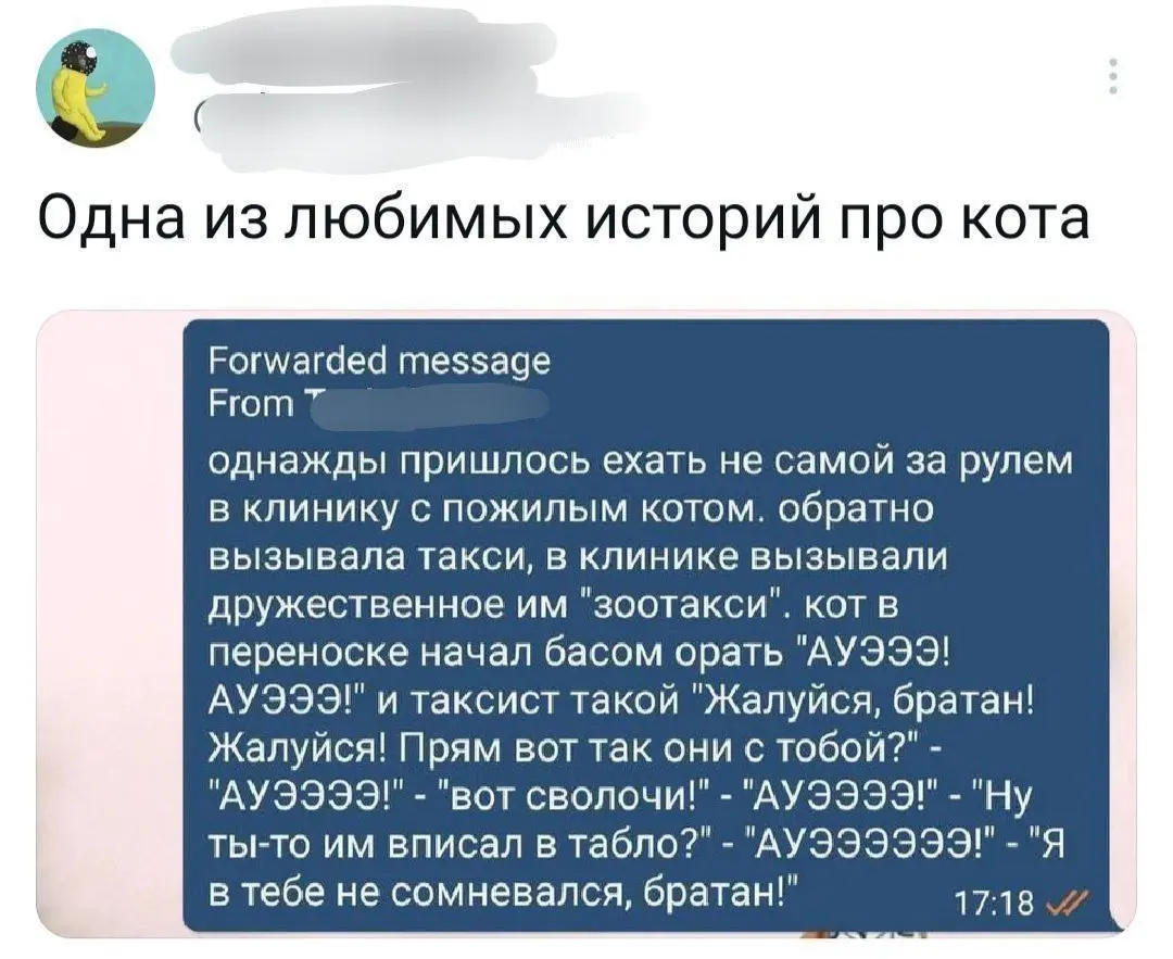 По-настоящему понимающий человек 😂
От любимого клиента Елены ❤️
#Юмор@poldner #Коты@poldner | Сетка — социальная сеть от hh.ru