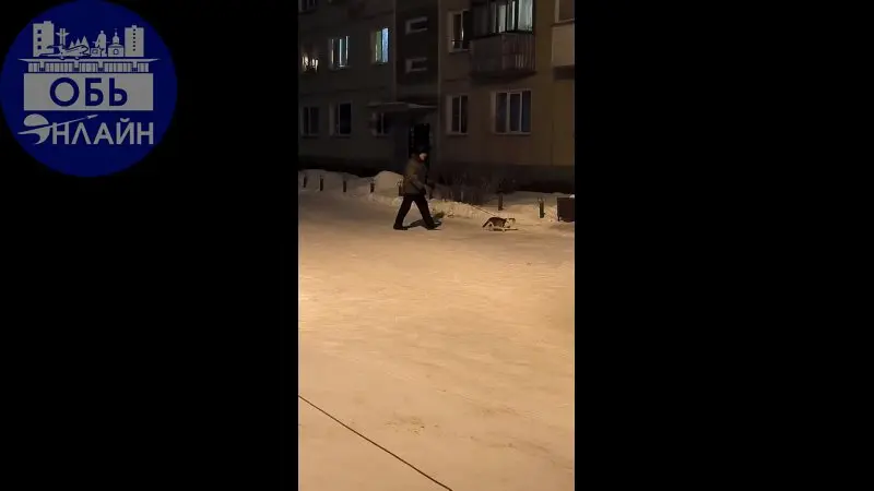 ↗ Не всем котикам нравится сидеть дома😻
vk.ru
Подробнее на https://vk.com/ob.gorod
#городобь #городобьонлайн #толмачево | Сетка — социальная сеть от hh.ru