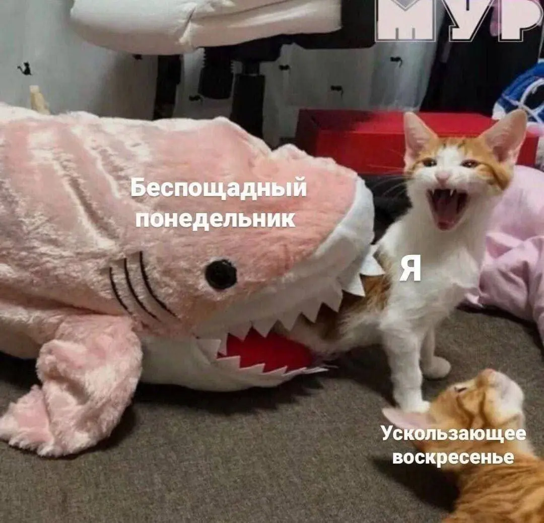 Всех с воскресенье - с днем настройки на новую неделю ☀️
Чтобы войти в неё бодро и с ясной головой, включайте подкаст «Заработались» | Сетка — социальная сеть от hh.ru