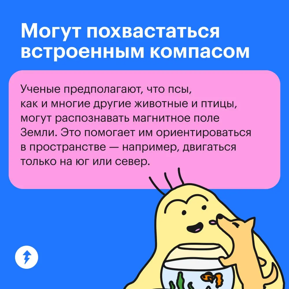 😂 : Крекер, где ты был?
🐕💭: 🦸💥🦹
➡️ Курс по подготовке хвостатых супергероев
#собаковедение | Сетка — социальная сеть от hh.ru