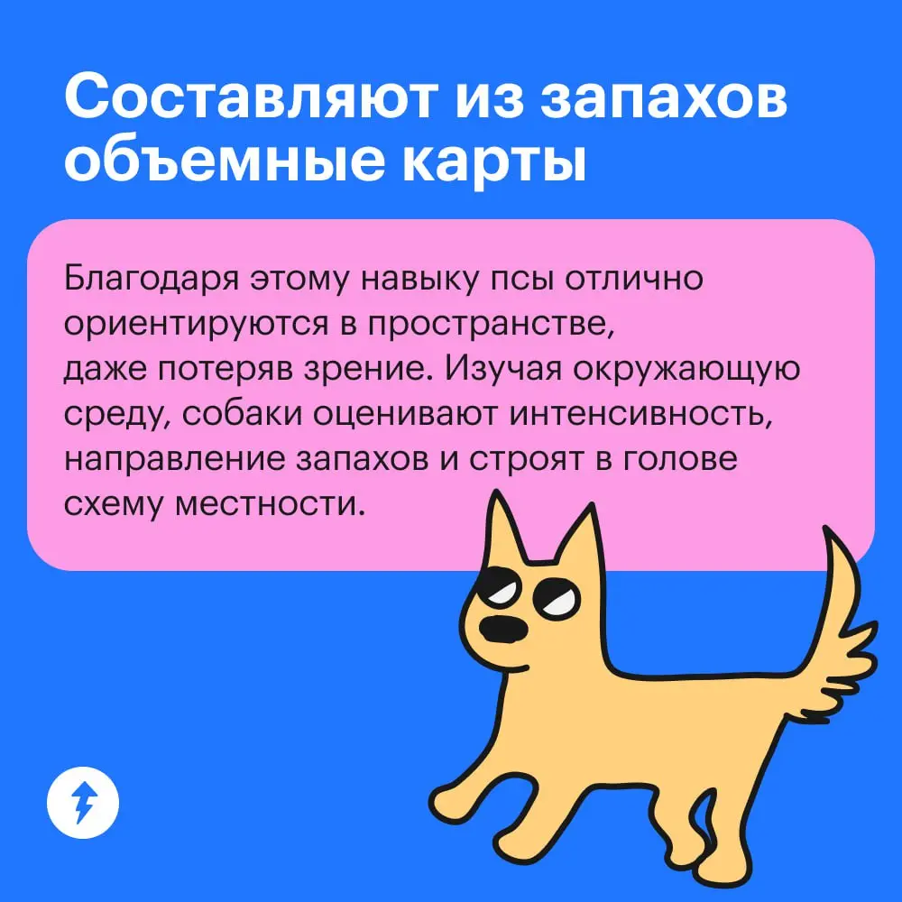😂 : Крекер, где ты был?
🐕💭: 🦸💥🦹
➡️ Курс по подготовке хвостатых супергероев
#собаковедение | Сетка — социальная сеть от hh.ru