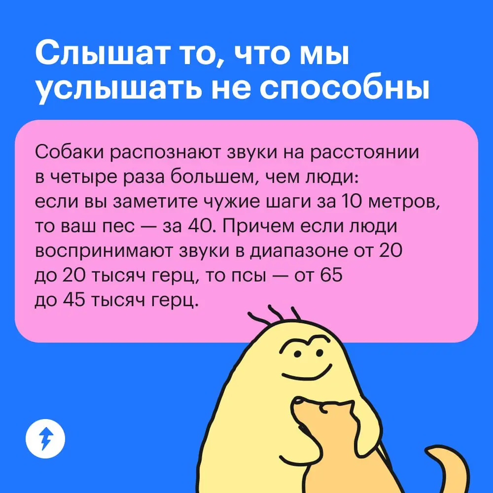 😂 : Крекер, где ты был?
🐕💭: 🦸💥🦹
➡️ Курс по подготовке хвостатых супергероев
#собаковедение | Сетка — социальная сеть от hh.ru
