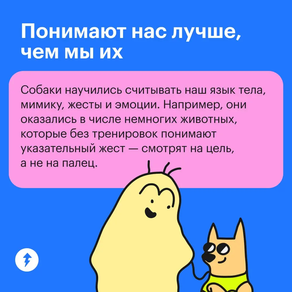 😂 : Крекер, где ты был?
🐕💭: 🦸💥🦹
➡️ Курс по подготовке хвостатых супергероев
#собаковедение | Сетка — социальная сеть от hh.ru