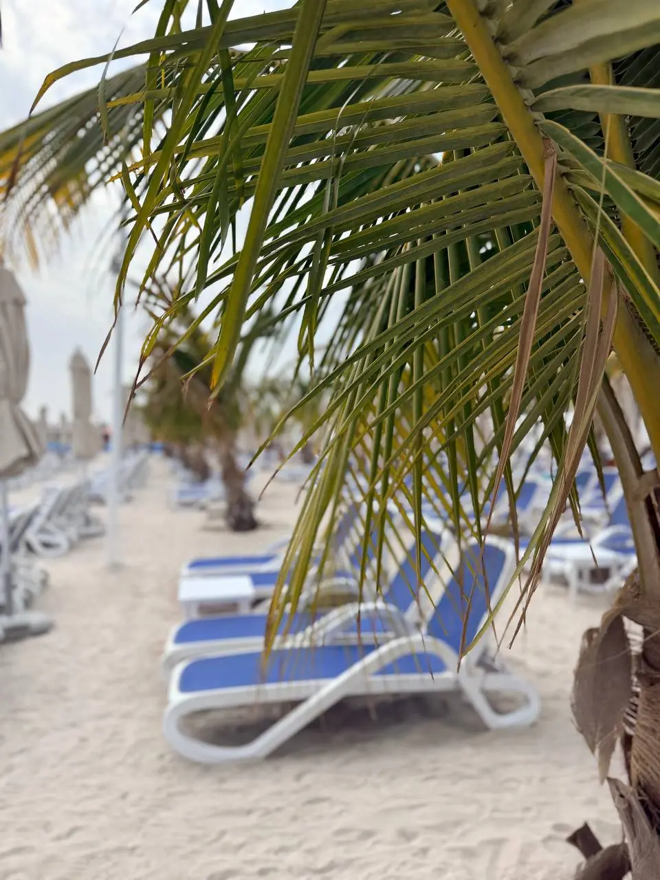 💊 Аптечный сегмент vs маркетплейсы: кто лидирует в доверии покупателей?
Сегодня поговорим о том, почему БАДы на специализированных платформах завоевывают рынок быстрее, чем на обычных маркетплейсах | Сетка — социальная сеть от hh.ru