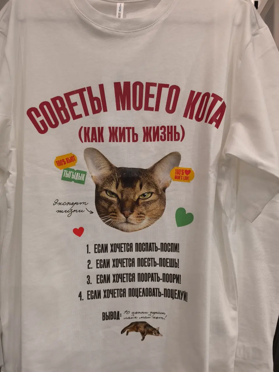 И тут я вспоминаю, что я сфоткала, но не выложила свою подборку из магазинов перед Новым годом 🎄
#Коты@poldner | Сетка — социальная сеть от hh.ru