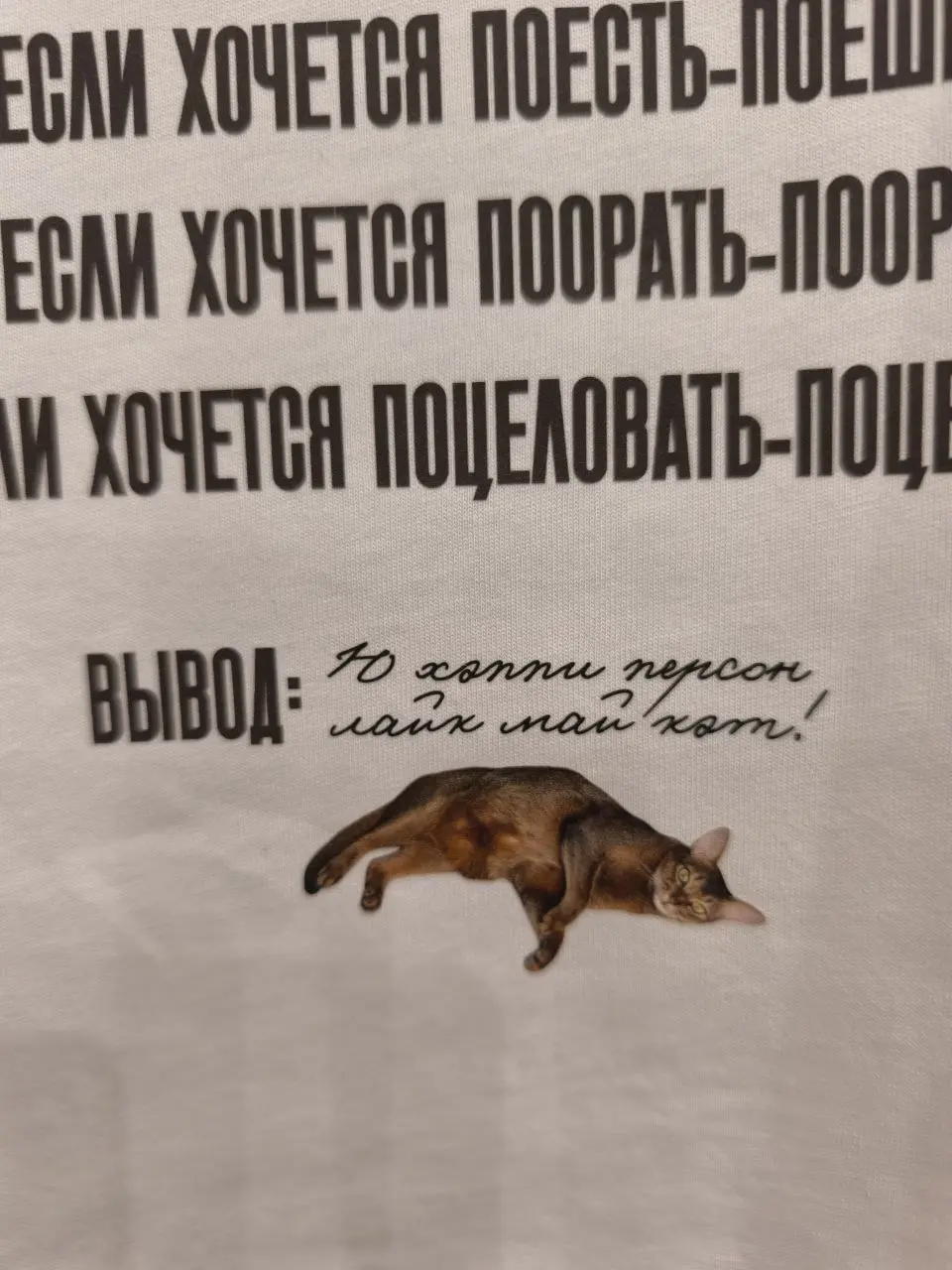 И тут я вспоминаю, что я сфоткала, но не выложила свою подборку из магазинов перед Новым годом 🎄
#Коты@poldner | Сетка — социальная сеть от hh.ru