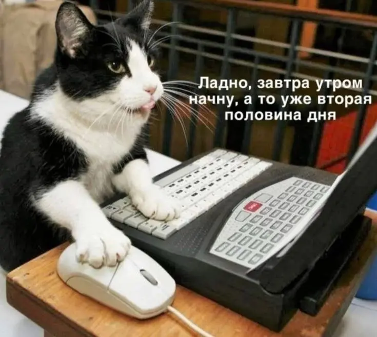 С праздником вас, дорогие студенты! Пусть дедлайны отступают, а вдохновение приходит хотя бы с третьей чашки кофе
Вакансии для студентов -> https://gderabota | Сетка — социальная сеть от hh.ru