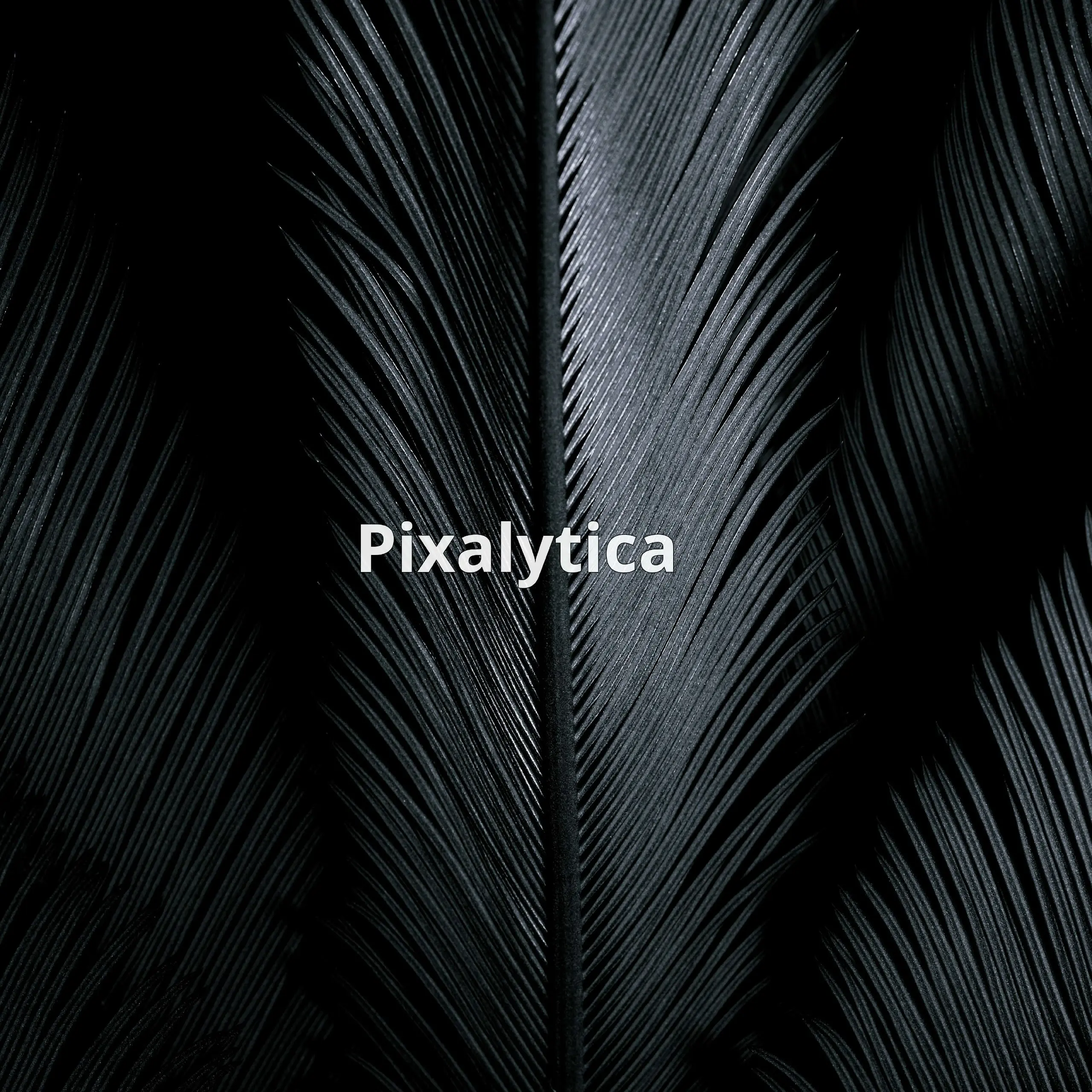 Pixalytica – это инновационный инструмент, который позволяет проверять личности и риски всего за несколько секунд по фото лица | Сетка — социальная сеть от hh.ru