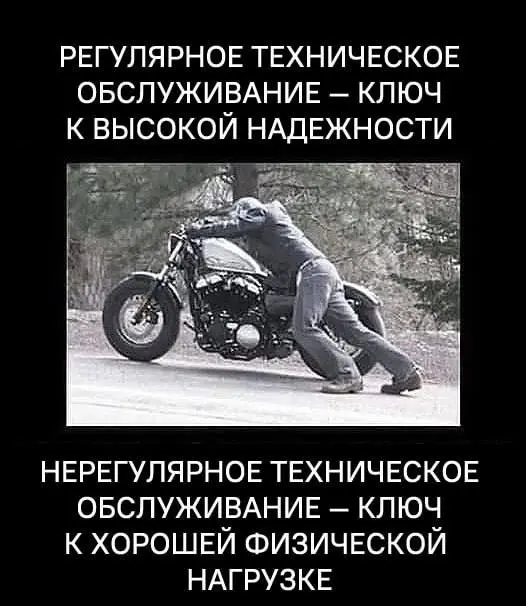 Будучи школьником, мне дарили мотоцикл Ява-350, отличная была техника. Но особенно мне запомнился процесс не езды а катания мотоцикла по местным окрестностям 😁 | Сетка — социальная сеть от hh.ru
