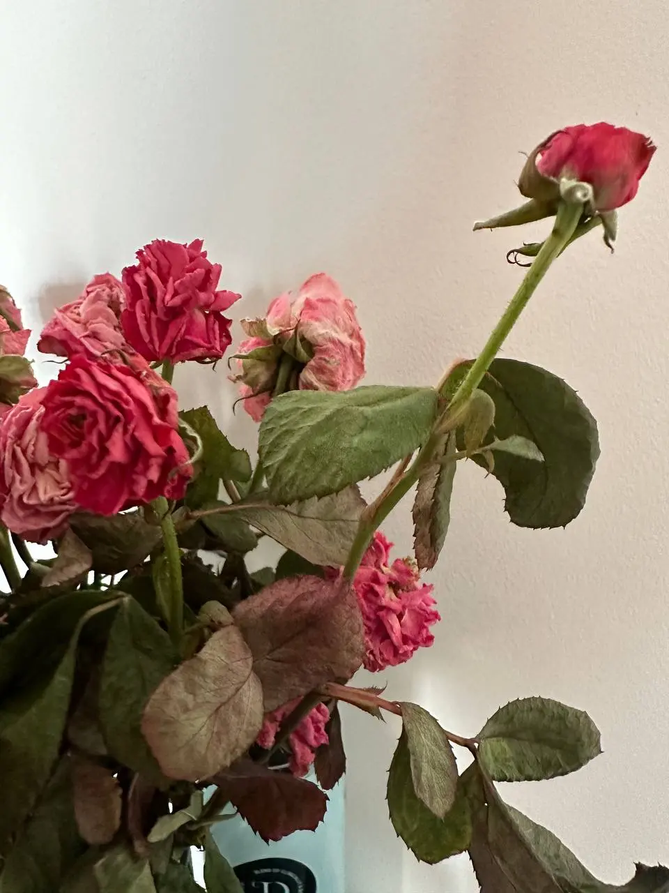 ❤️ Продолжаю разбирать тему любви и личности в ней, здоровой/нездоровой зависимости в отношениях | Сетка — социальная сеть от hh.ru