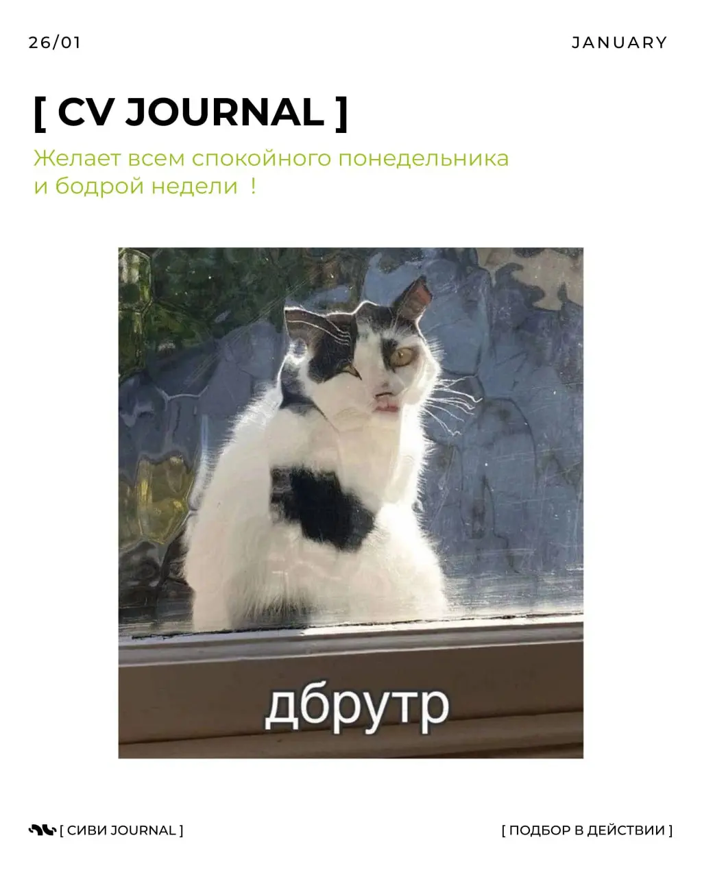 Понедельничный чек-ин для рекрутера: как начать неделю эффективно
Чтобы неделя не ушла в хаос, а процессы — в режим «тушим пожары», важно начать её с чёткого обзора.
Не с чатов, а с управления | Сетка — социальная сеть от hh.ru