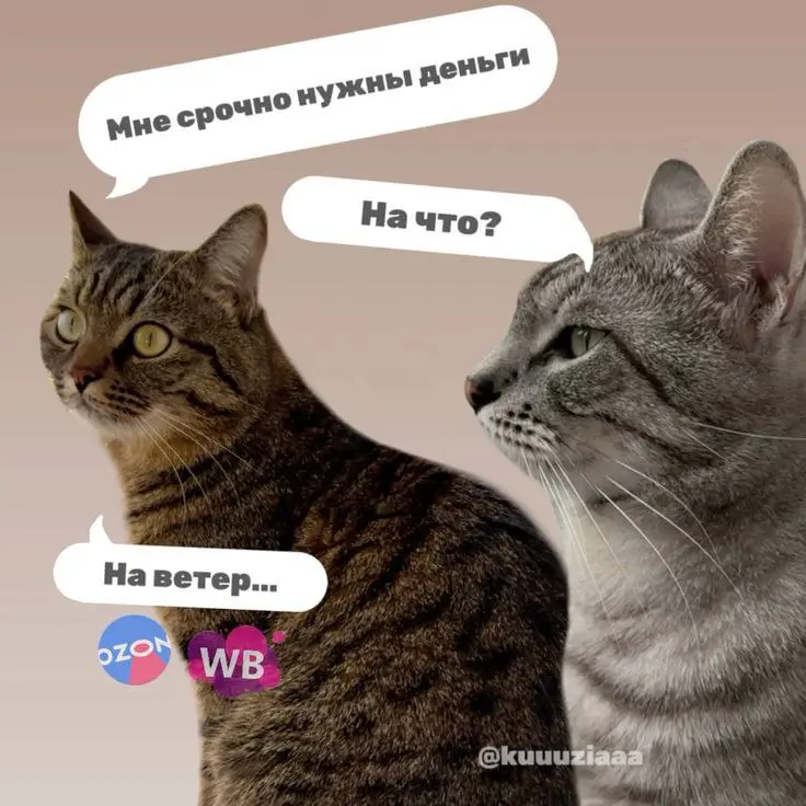 А кто тут не выдерживает деньги, а?
Вот эти ВБ, Озон... максимально помогают сливать бюджет и оставаться в "зоне комфорта" системы. | Сетка — социальная сеть от hh.ru