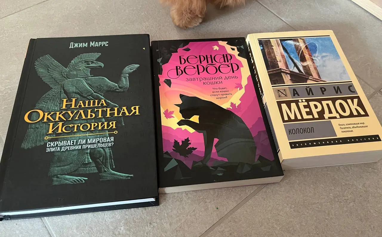 🤩 сегодня планирую дочитать/дослушать «Час Быка», осталось всего 200 страниц 🤩
в меню на неделю - ещё три книги:
🤩Джим Маррс «Наша оккультная история» (моя любимая альтернативная версия развития всего... | Сетка — социальная сеть от hh.ru