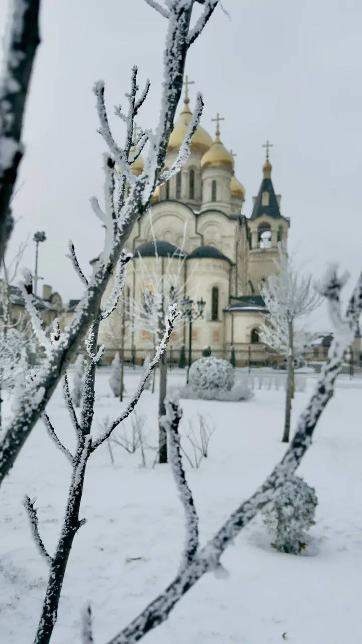 ❄️ Сказочная зима в Ставрополе | Сетка — социальная сеть от hh.ru