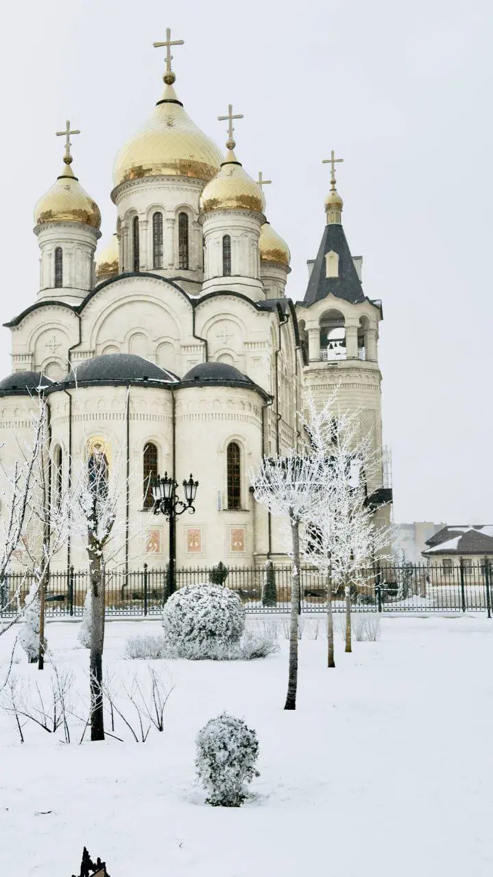 ❄️ Сказочная зима в Ставрополе | Сетка — социальная сеть от hh.ru