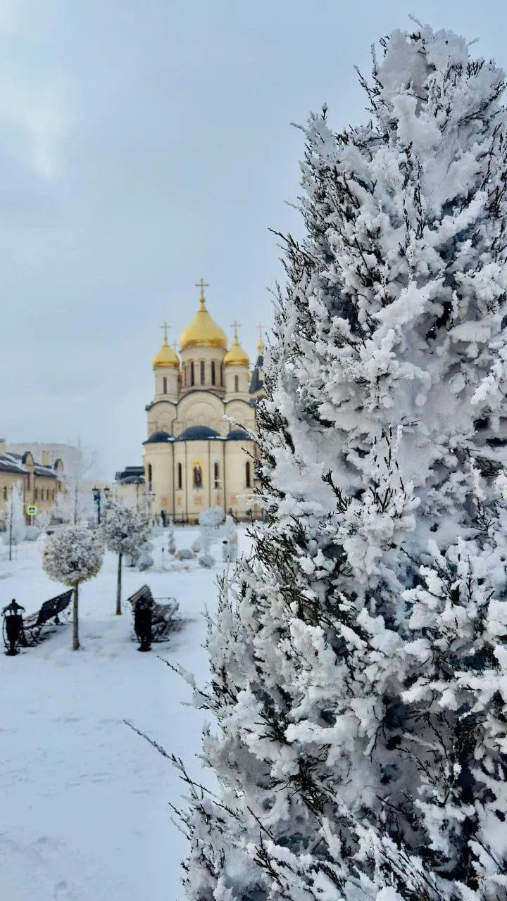 ❄️ Сказочная зима в Ставрополе | Сетка — социальная сеть от hh.ru