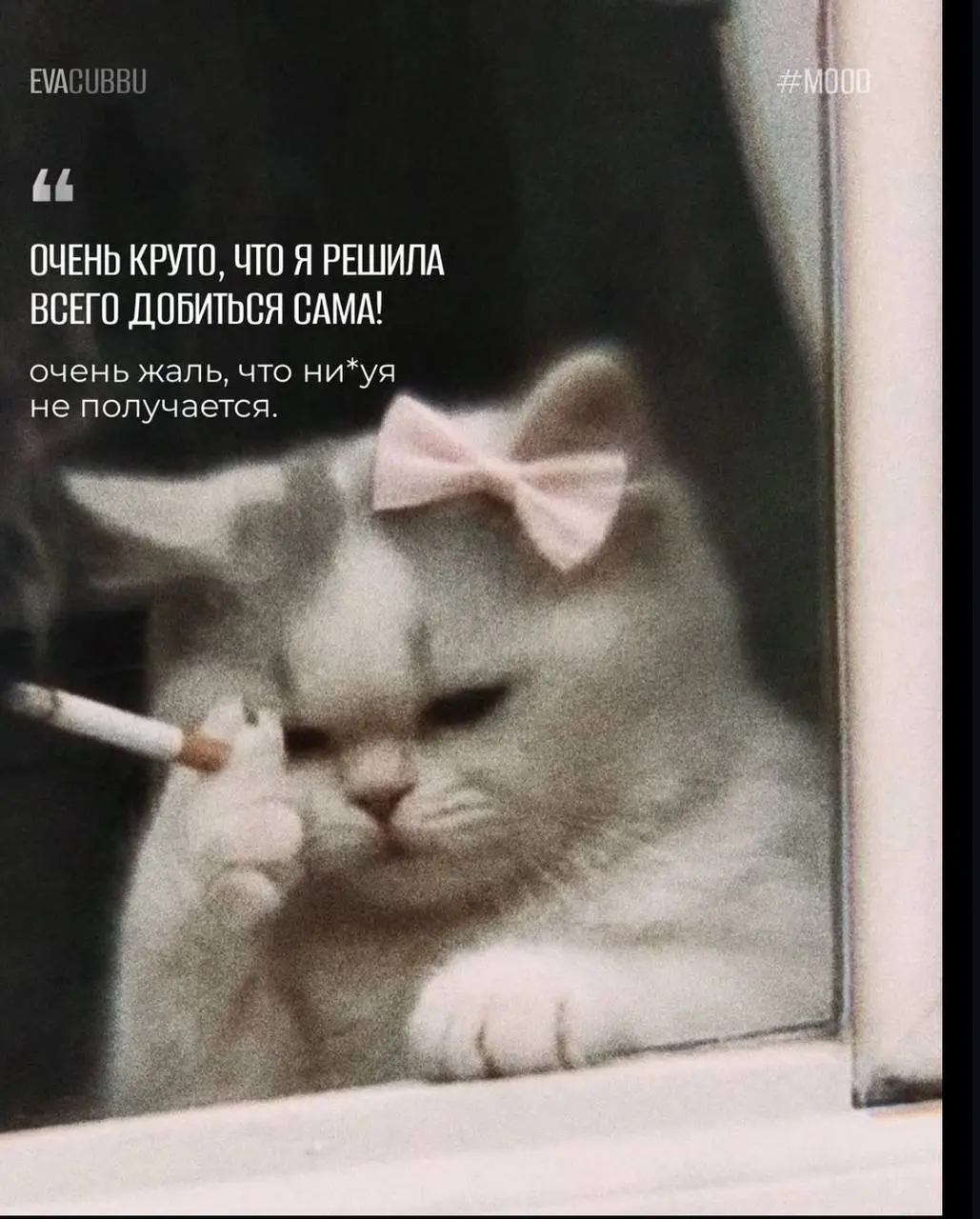 Ну ладно, что-то даже получается🫠
Я тут работу новую нашла за неделю, пока была в отпуске.
Пришлось немножко оптимизировать резюмеху под ключевые слова и все вот это | Сетка — социальная сеть от hh.ru