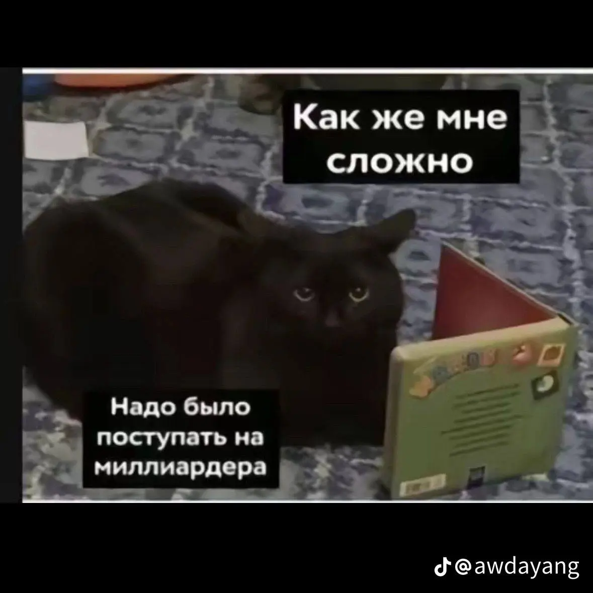 Стоит ли указывать опыт по 2–3 месяца?
Короткий ответ: зависит от контекста | Сетка — социальная сеть от hh.ru