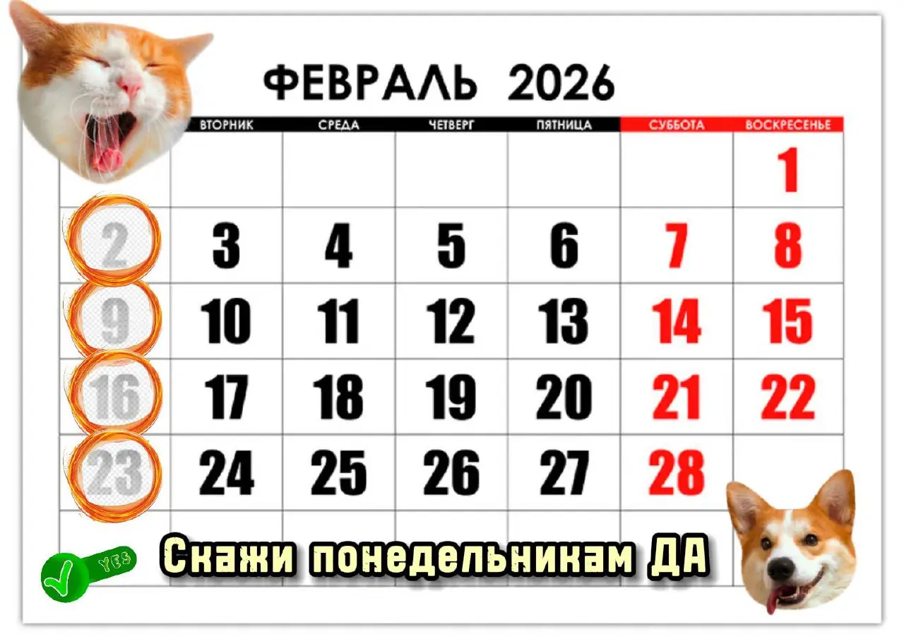 ✅Шоу проходит по адресу: Краснодар, Ул Красная 113
ресторан WokCafe.
🌐Наш сайт:
https://taplink.cc/levchenkostepan
💙Вконтакте:
https://vk.com/levchenko\stepan
💬Telegram:
https://t | Сетка — социальная сеть от hh.ru