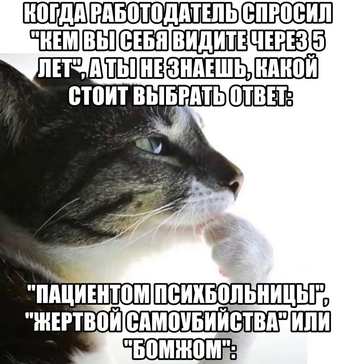 Ситуэйшн... | Сетка — социальная сеть от hh.ru