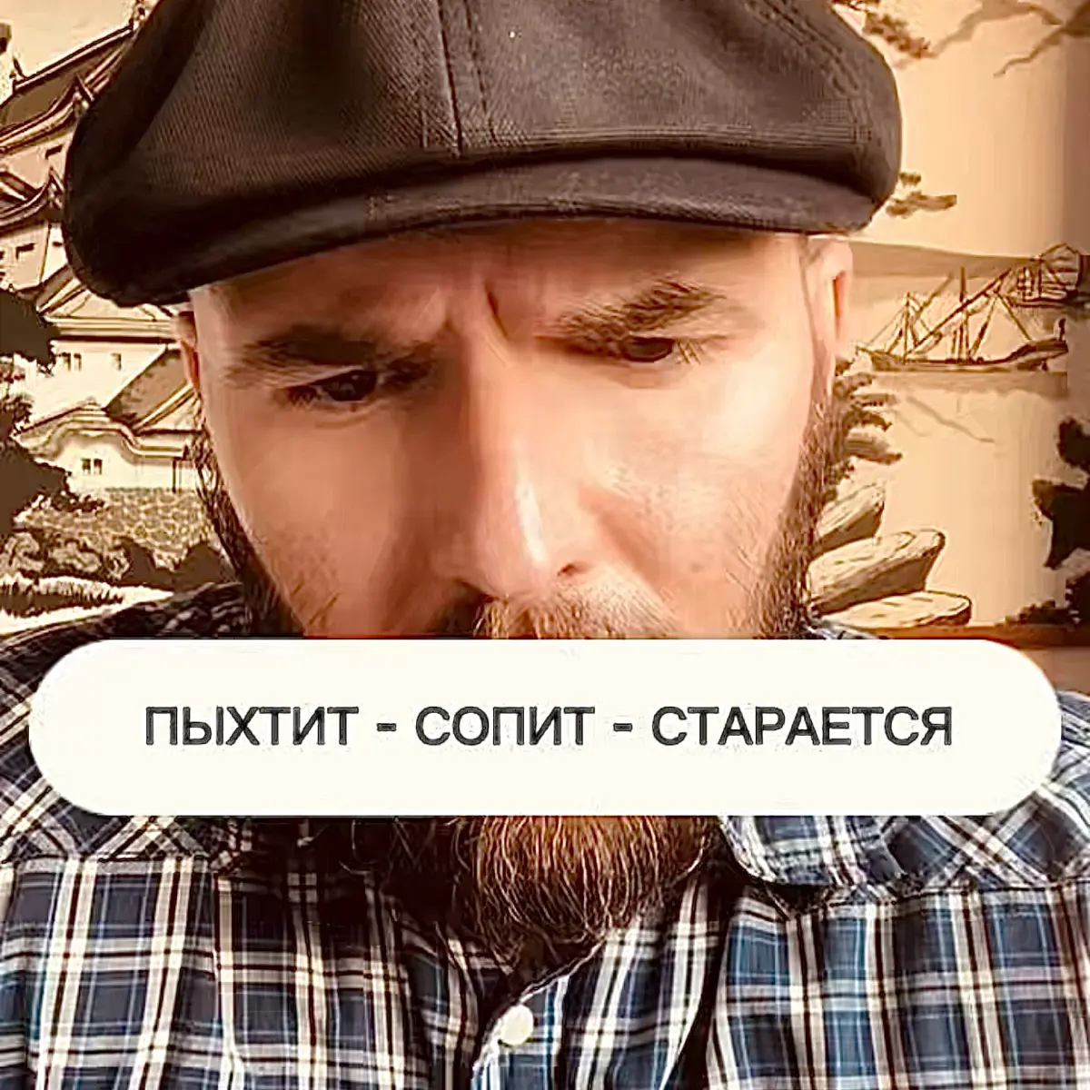 Скоро в логово: | Сетка — социальная сеть от hh.ru