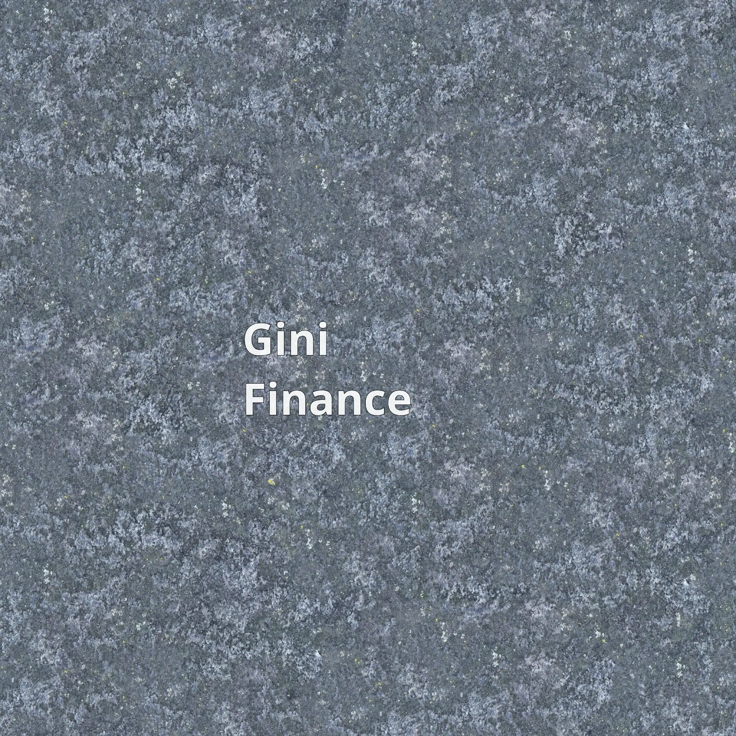 Gini Finance – это удобная платформа, позволяющая создать компанию и вести учет в более чем 35 странах | Сетка — социальная сеть от hh.ru