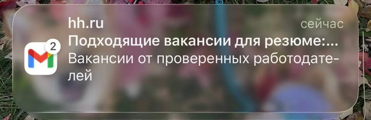 Вселенная, дай знак, как завтра ответит руководство компании на мой запрос о повышении зарплаты. | Сетка — социальная сеть от hh.ru