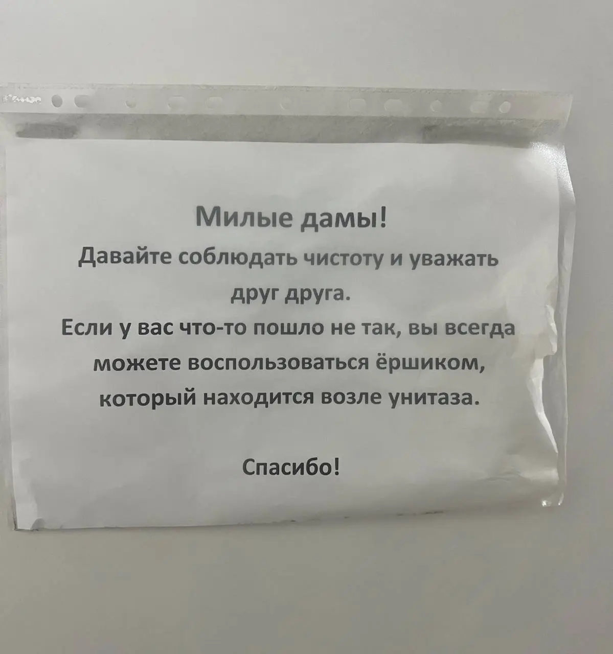 Сегодня туалетная рубрика для тех, кто готов к непредвиденным обстоятельствам
Давно у нас не было объявлений в файликах, я скучала)) Уверена, тот, кто решил так спрятать бумажку, дома держит ажурную с... | Сетка — социальная сеть от hh.ru