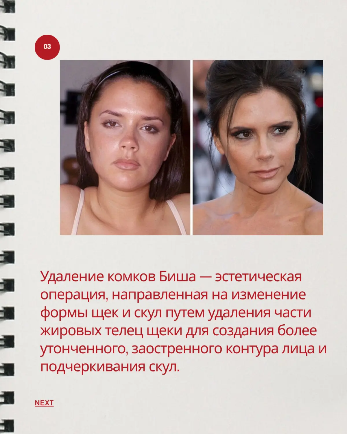 Величко Илона | Методолог | Эксперт анатомии человека | Сетка — социальная сеть от hh.ru