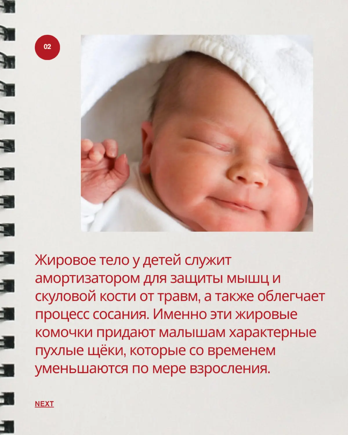 Величко Илона | Методолог | Эксперт анатомии человека | Сетка — социальная сеть от hh.ru