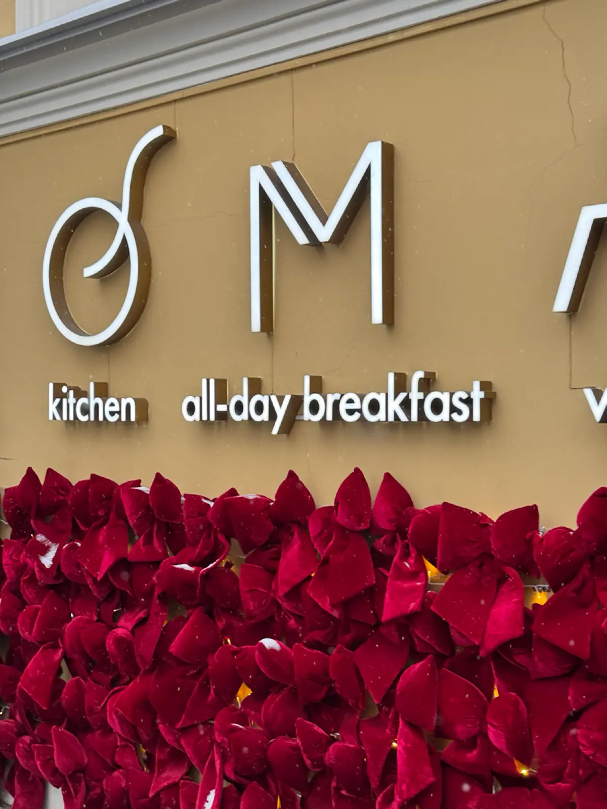 Фотография | Сетка — социальная сеть от hh.ru