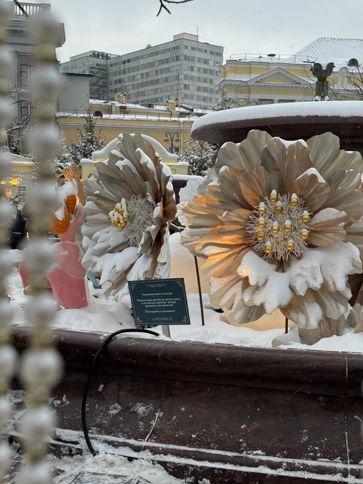 Фотография | Сетка — социальная сеть от hh.ru