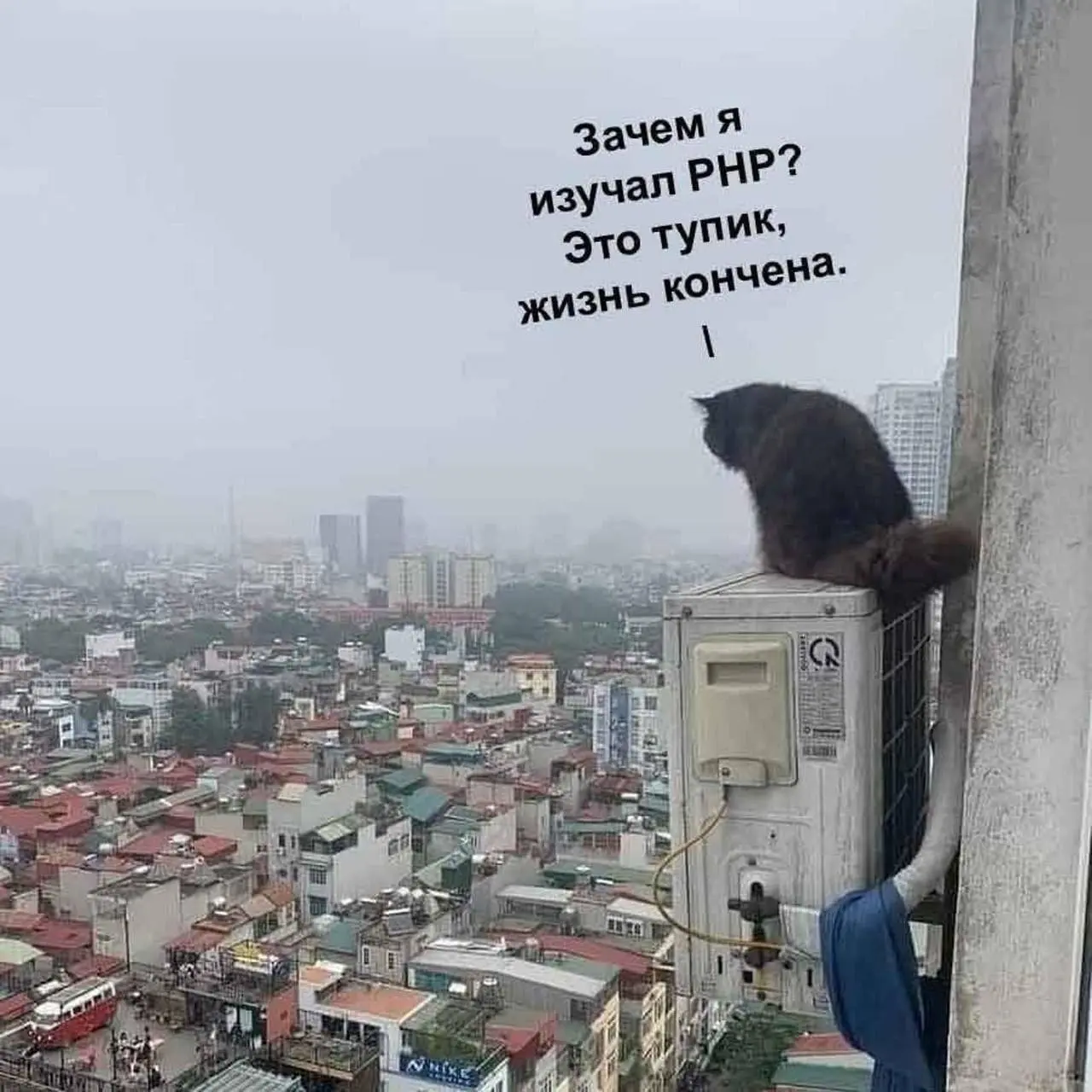 Подпишись, а то мемы закончатся 💸 | Сетка — социальная сеть от hh.ru