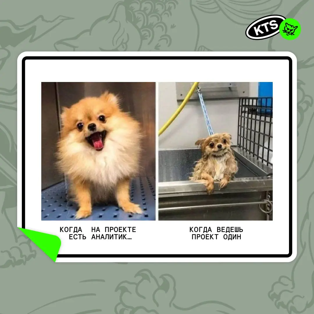 Проджект не вывозит: когда на проекте нужен аналитик
Радость от работы проджекта сменяется на грусть от того, что всё начинает ухудшаться | Сетка — социальная сеть от hh.ru