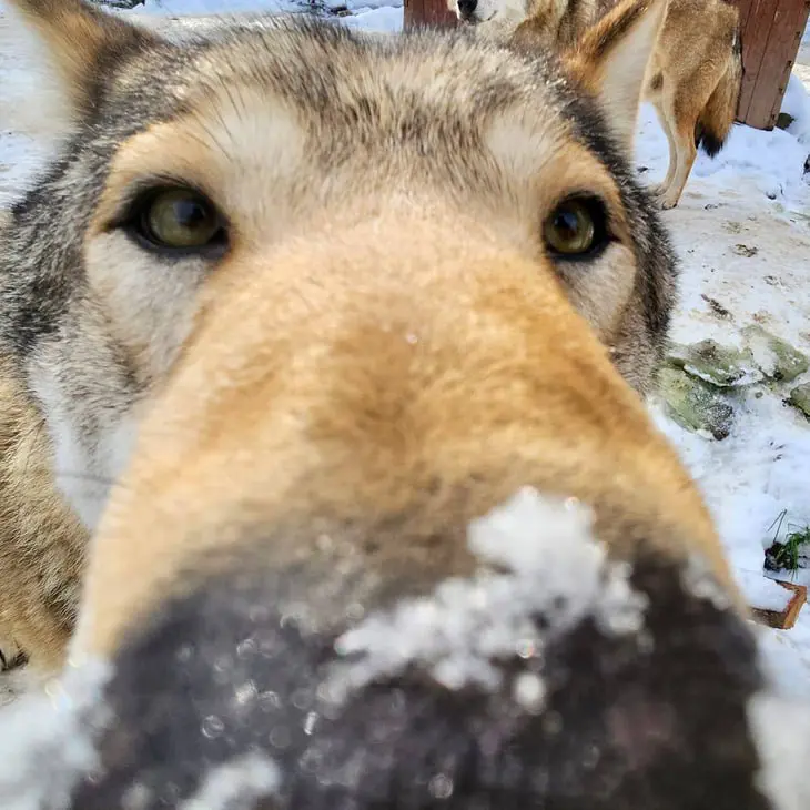 Дизайн муниципального сайта | Сетка — социальная сеть от hh.ru