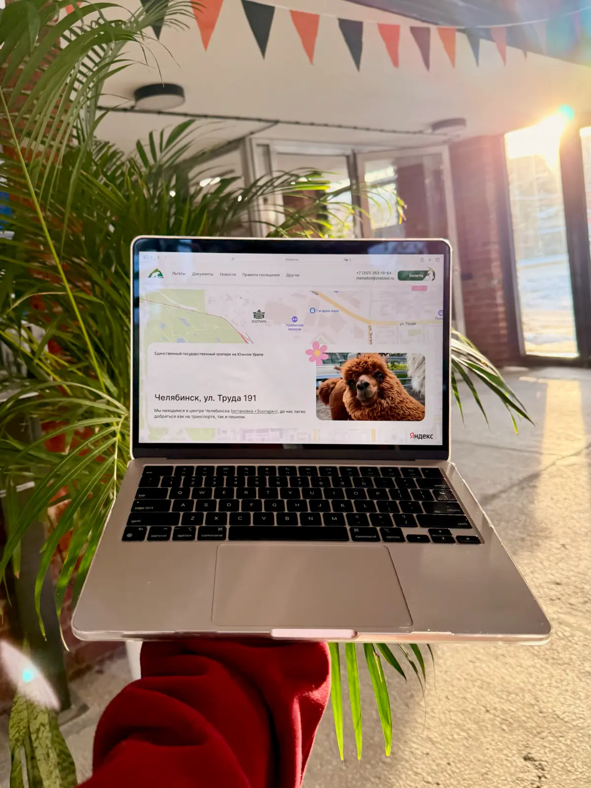 Дизайн муниципального сайта | Сетка — социальная сеть от hh.ru