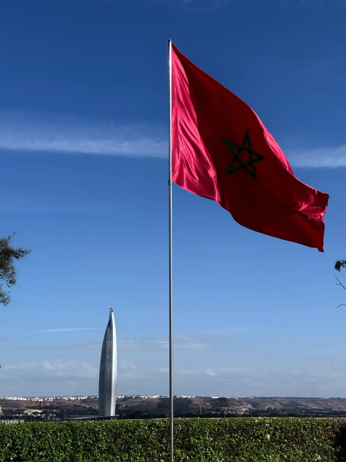 Из B2B продаж в запуск завода в Марокко🇲🇦 | Сетка — социальная сеть от hh.ru