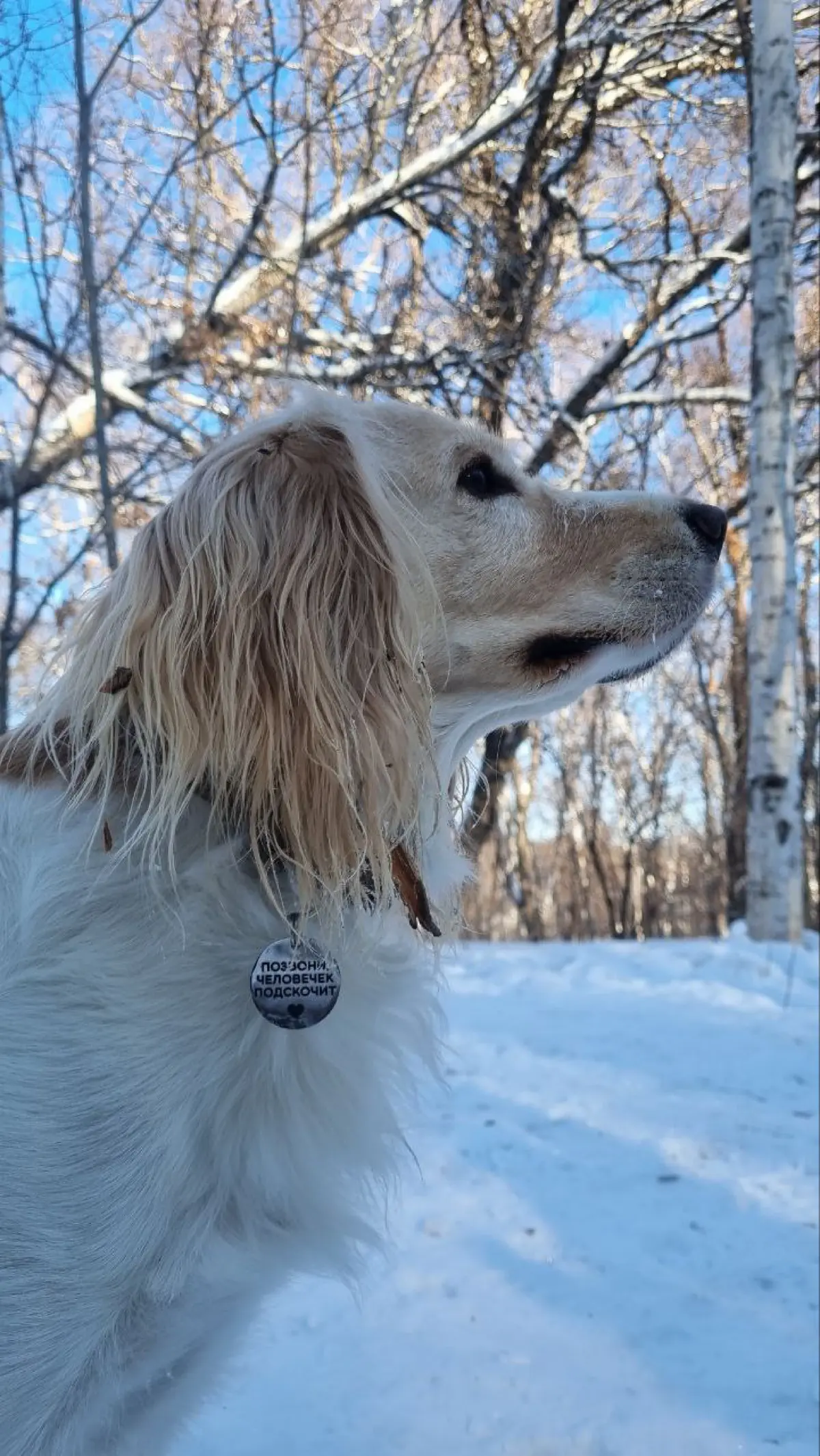 Мой испанский стыд за 100к: сцена, Батырев, крики «Харе!»😱 | Сетка — социальная сеть от hh.ru