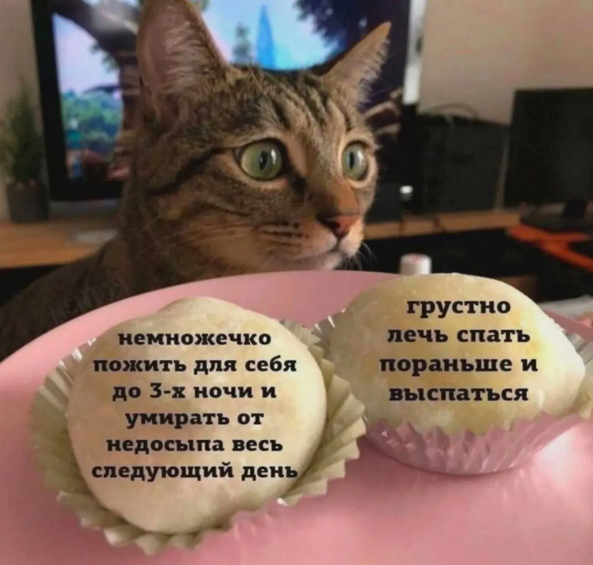Боль современного офисного планктона | Сетка — социальная сеть от hh.ru