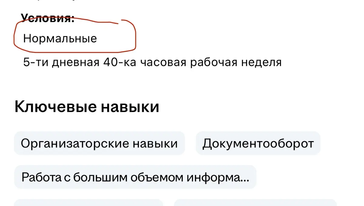 Нормальные условия | Сетка — социальная сеть от hh.ru